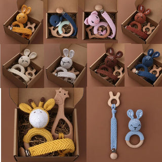 Pacifier Clip Teether Toy Set - RYAN AND REMI