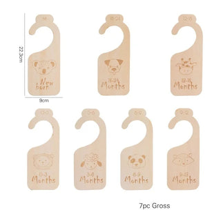 7Pcs Acrylic Closet Dividers - RYAN AND REMI