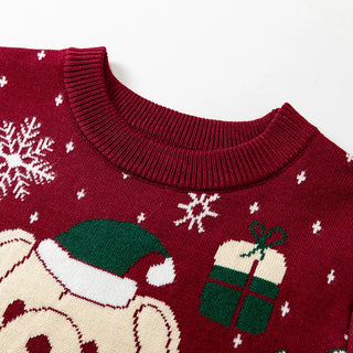 Knitted Teddy Bear Christmas Sweater - RYAN AND REMI