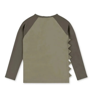 Baby Swimwear New Summer Boys Cartoon Dinosaur Raglan Sleeve Long Sleeve Tops+Swimming Trunks Kids Beach Split Swimsuit H23316 - RYAN AND REMI